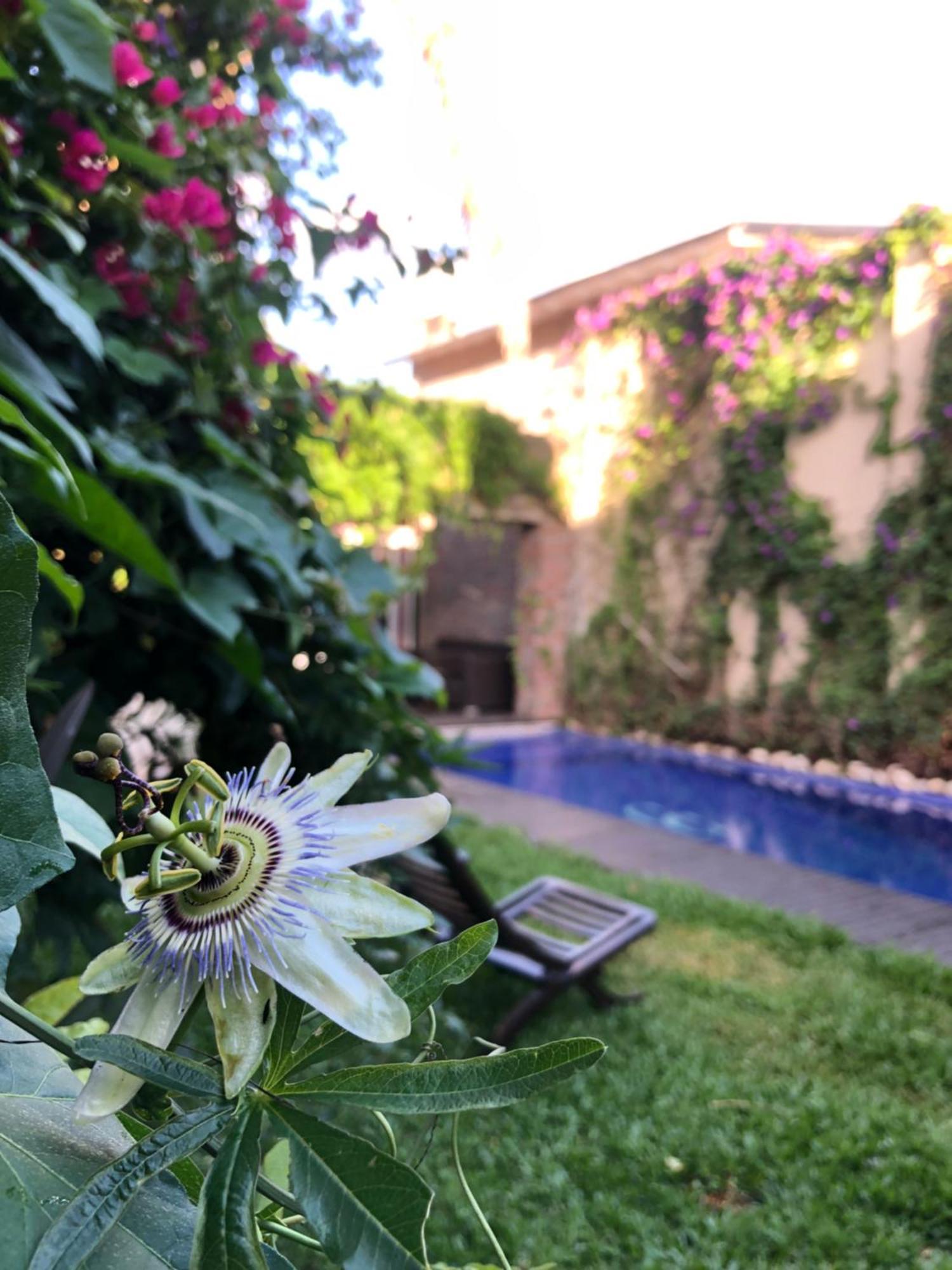Cool Clima Bed and Breakfast Olivos Exterior foto